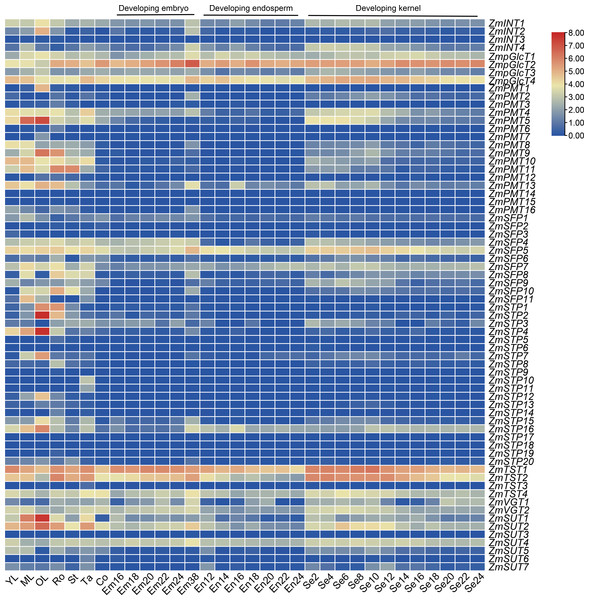 Expression patterns of ZmSTs in 10 tissues.
