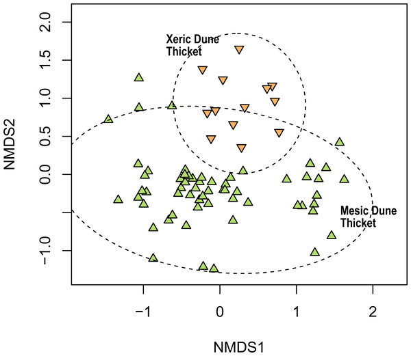 Non-metric multidimensional scaling (NMDS) of the Thicket plots sampled in this study showing their association with the two dune thicket vegetation types identified in this study.