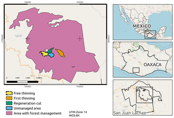 Forest management area with sampling sites. Map credit: OpenStreetMap Contributors, 2023. Licensed under CC BY-SA 2.0.