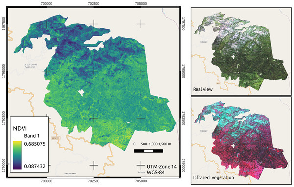 NDVI expansion, true color and near-infrared vegetation visualization of the managed area.
