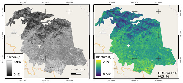 Estimations of aboveground biomass and carbon in the managed area of San Juan Lachao.