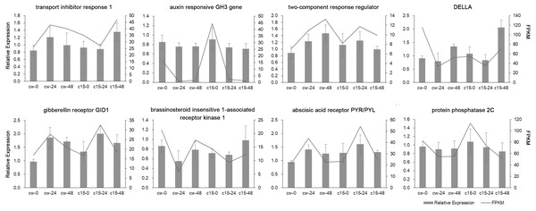 Validation of RNA-Seq data by qRT-PCR analysis.
