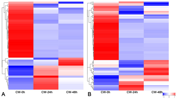 Expression patterns of DEGs.