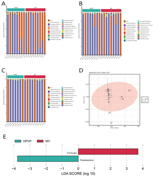 The microbiome composition of the cervical orifice and the mid-vagina.