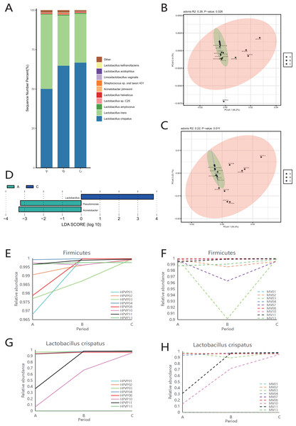 Vaginal microbiome composition during periods A, B and C.