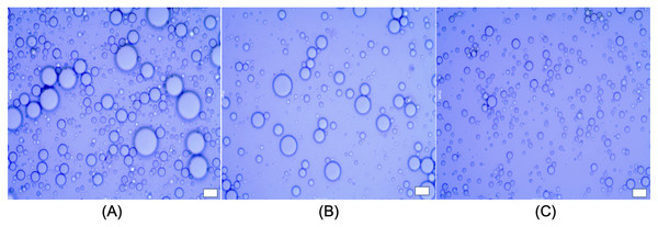 Microstructure of emulsions; LIPE (A), MIPE (B) and HIPE (C).