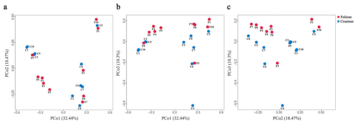 Diversity of bacteria associated with lichens in Mt. Yunmeng in Beijing ...