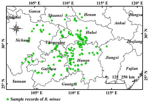 A representation of the study area and points of B. minax sample records.