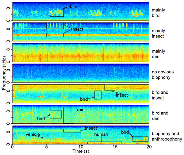 A typical spectrogram of each sound component.