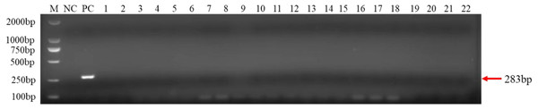 Results of PCR specificity assay.