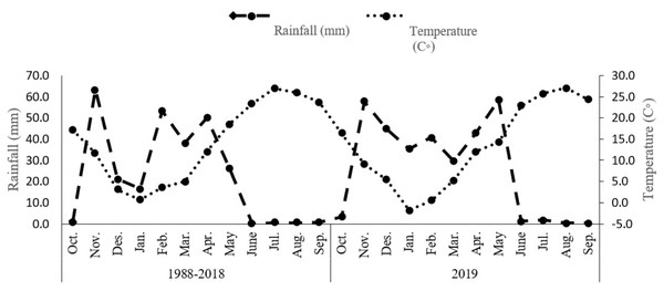 Total rainfall and average monthly air temperature for the 1988–2018.