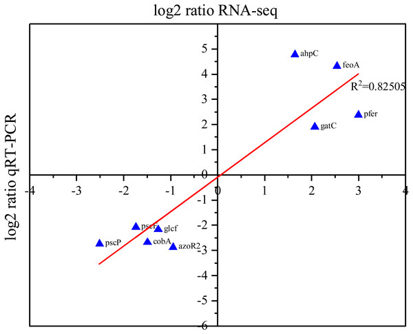 Correlation between RNA-Seq and RT-PCR data.