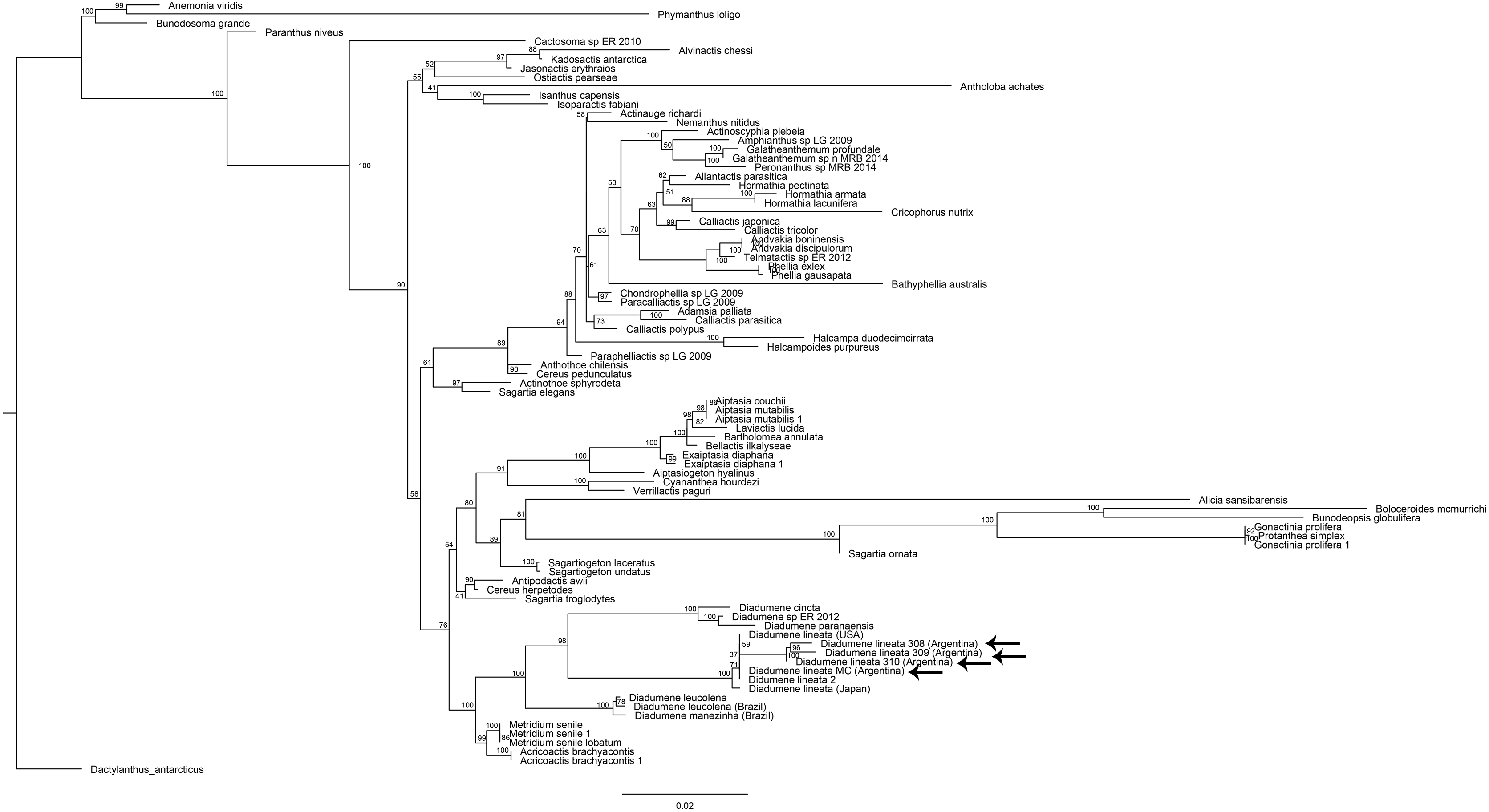 Annotations of Japanese website - Bug Reports - iNaturalist