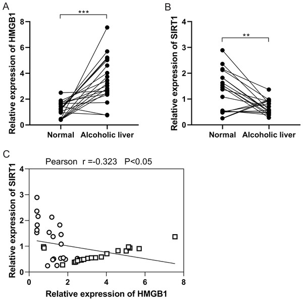 A negative correlation was observed between HMGB1 and SIRT1 levels in patients with alcoholic liver disease (ALD).