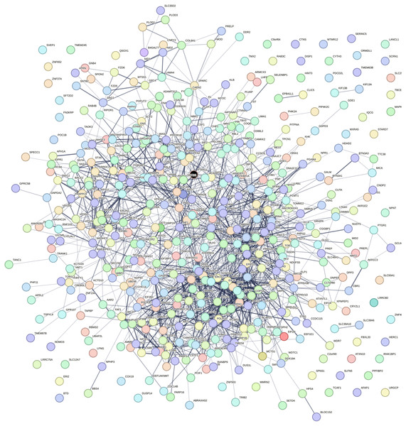 Protein interaction network.