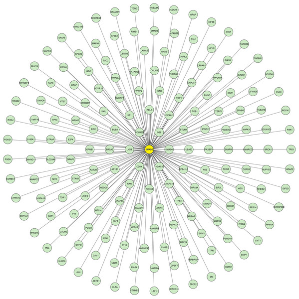 SMAD2 Sub-network.