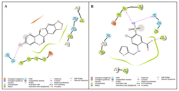 Protein–ligand interaction.