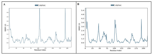 The protein root mean square fluctuation of inermin (A) and furosemide (B) with SMAD2 complex.