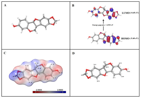 DFT analysis of inermin. (A) optimized structure, (B) HOMO and LUMO conformation, (C) electrostatic potential, and (D) Mulliken charges.