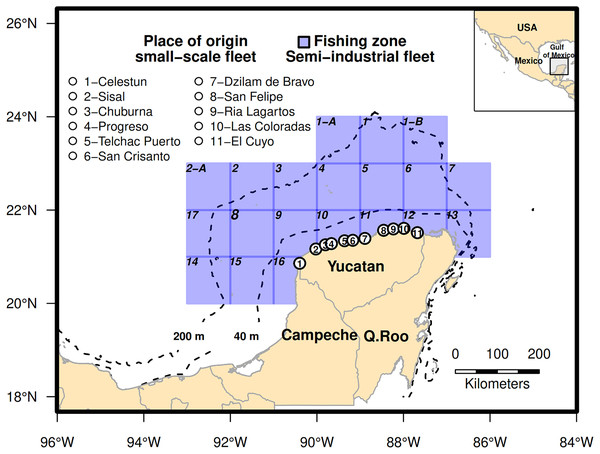 Fishing area for the catch of red grouper in the southeastern Gulf of Mexico.