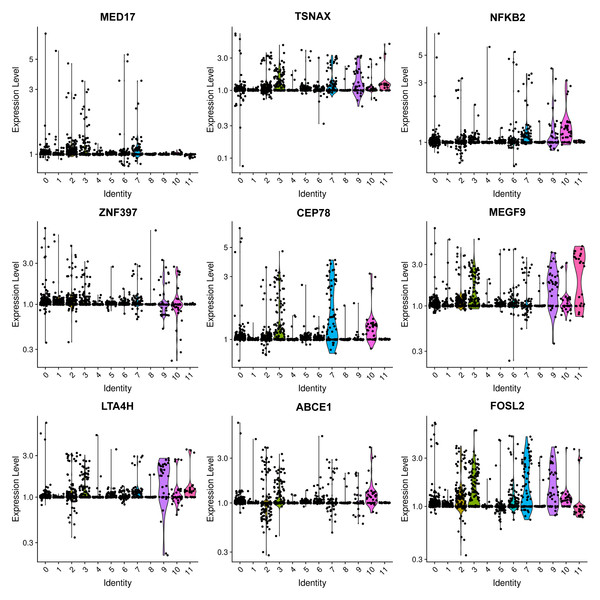 Violin plots showing the expression levels of representative marker genes of Cluster 0 across the 12 clusters.