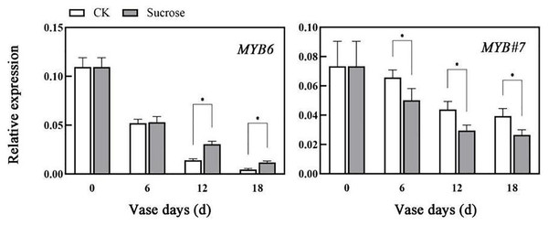 Effect of sucrose on the relative expression patterns of two MYBs, which were verified as anthocyanin biosynthesis activator (MYB6) and repressor (MYB#7) respectively.