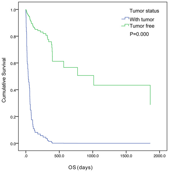 Kaplan–Meier curves of overall survival were well separated according to tumor status.