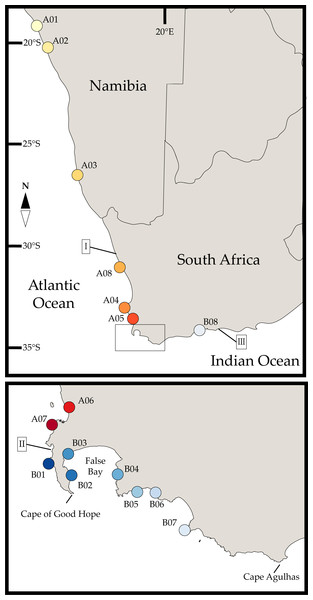 Sampled localities across Namibia and South Africa.