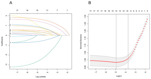 Demographic and clinical feature selection using the LASSO binary logistic regression model.