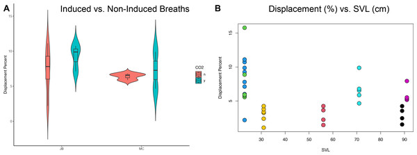 Statistical analyses of induced breaths and displacement related to size.