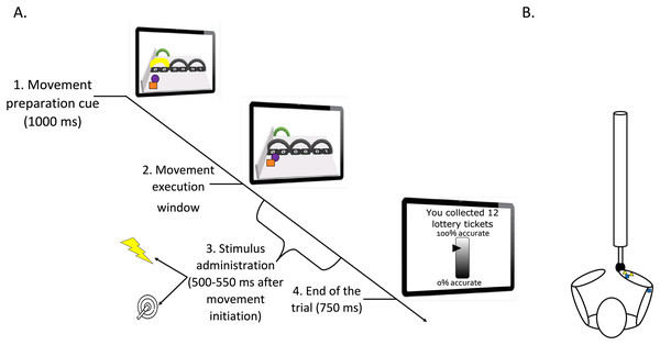 (A) Timeline of a trial (test phase). (B) Graphic representation of the stimuli positioning.