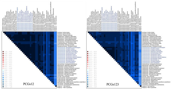 Mitochondrial genome sequences heterogeneity differences in the matrix PCG123 and PCG12.