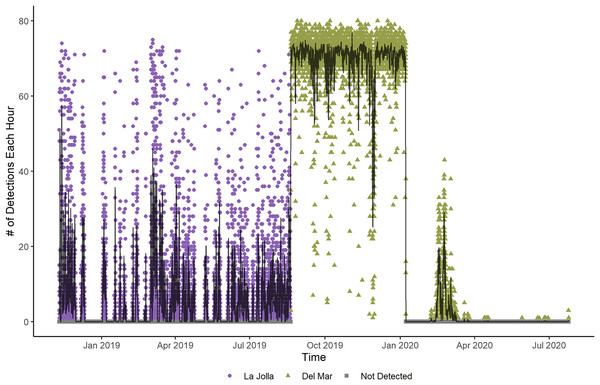 Number of detections each hour for Tag Number 2 in the La Jolla array (purple circles) and at the Del Mar Receiver (green triangles).