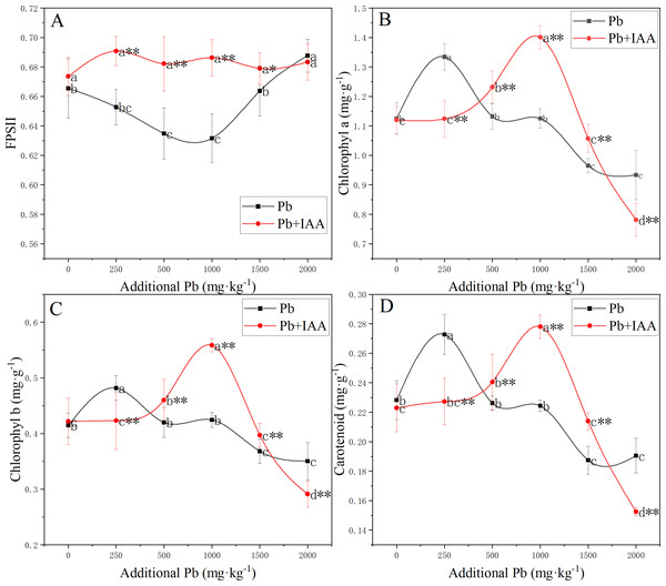 (A–D) Effective photochemical quantum yield of PSII and content of photosynthetic pigments in ryegrass under Pb stress with or without IAA.