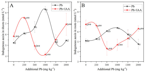 Endogenous IAA in the shoots (A) and roots (B) of ryegrass in Pb and Pb+IAA-treated plants.