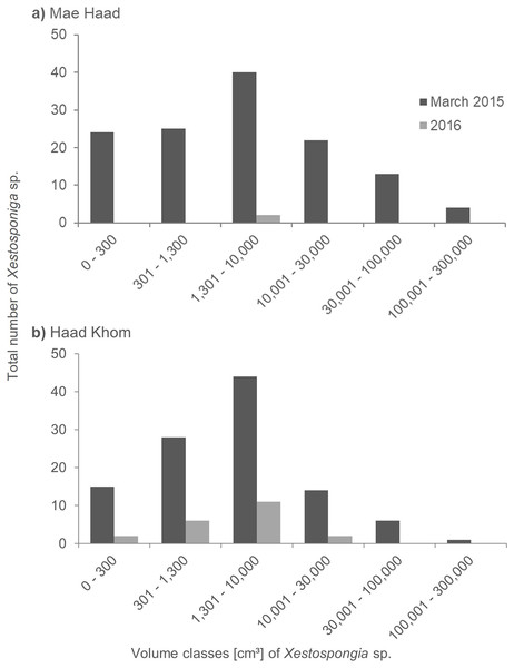 Size distribution of Xestospongia sp. at Mae Haad (AI) and Haad Khom (AI) in the years 2015 and 2016.