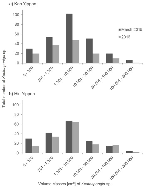 Size distribution of Xestospongia sp. at Koh Yippon (ANI) and Hin Yippon (ANI) in the years 2015 and 2016.