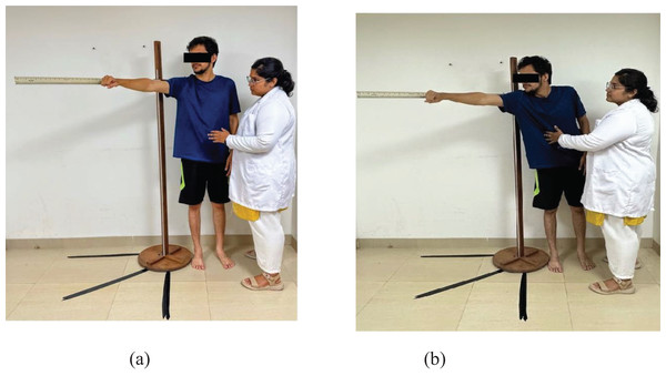 Assessment of the oblique direction reach test: (A) and (B).
