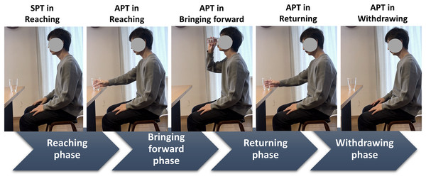 Defined drinking phases and related time points.