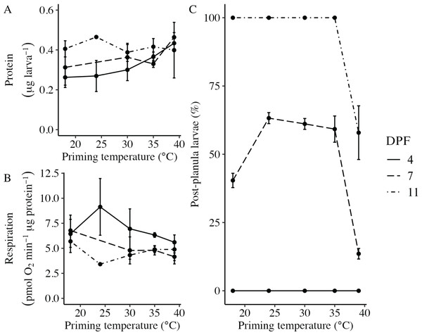 Effects of heat priming on larval metabolism and development.