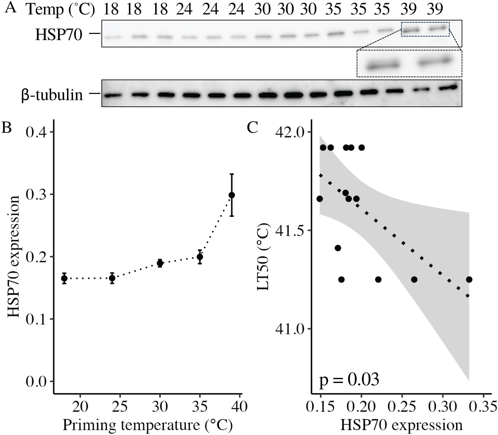 Enzyme adaptation to habitat thermal legacy shapes the thermal plasticity  of marine microbiomes