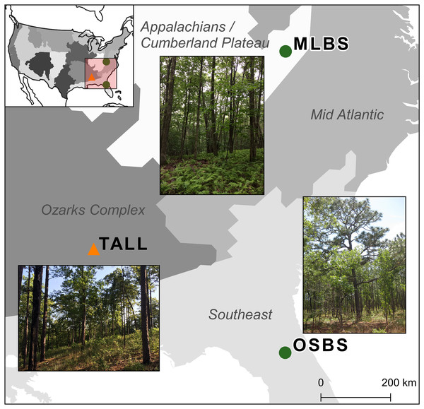 Map of the three study sites and domains of the National Ecological Observatory Network (NEON).