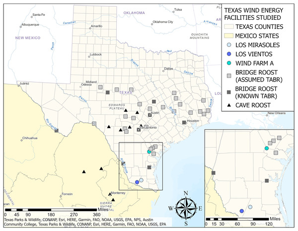 Locations of Texas wind energy facilities in study, known Brazilian free-tailed bat roosts, and known bat roosts with assumed Brazilian free-tailed bat populations by type (bridge or cave roost).