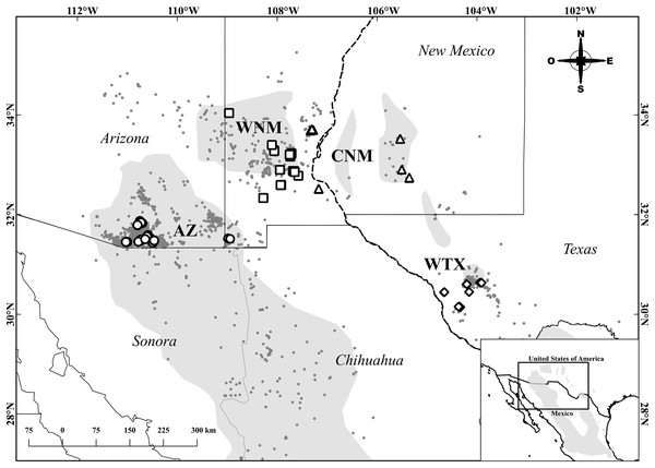 Sampling locations of Montezuma quail.
