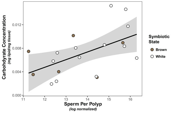 Linear regression modeling of the relationship between average sperm production per polyp and carbohydrate concentration.