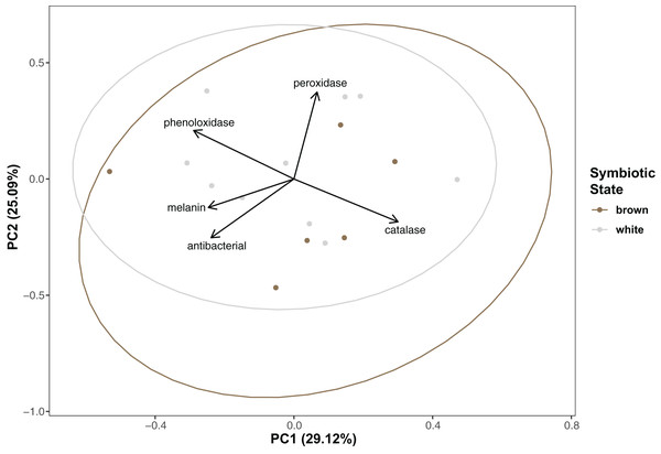 Principal component analysis showing special orientation of average immune activity of each coral.