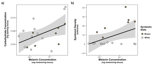 Linear regression modeling of the relationship between carbohydrate concentration and symbiont density and melanin concentration.