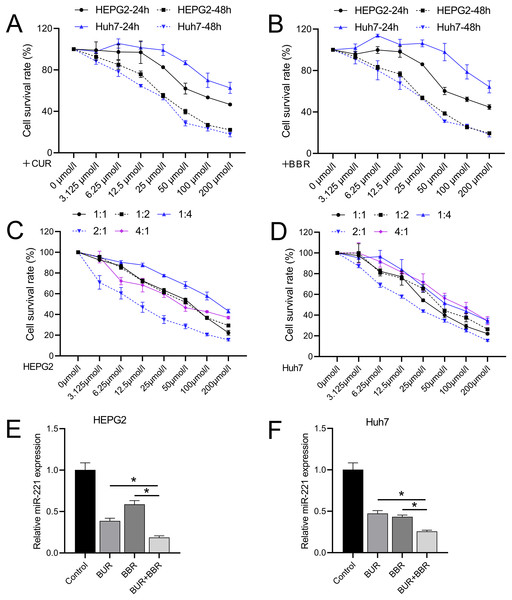 The combined effect of CUR-BBR on the proliferation of hepatoma cells.