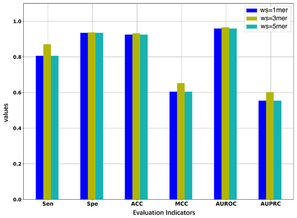 Performance comparison of models under different word sizes (ws) based on the 5-fold cross-validation of the training dataset.
