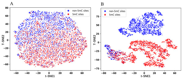 t-SNE plots of the embeddings extracted from the Promoter-BERT model (A) and fine-tuned models (B) in this study.